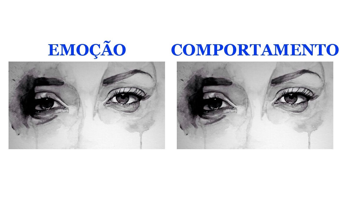 As emoções não são a causa do comportamento