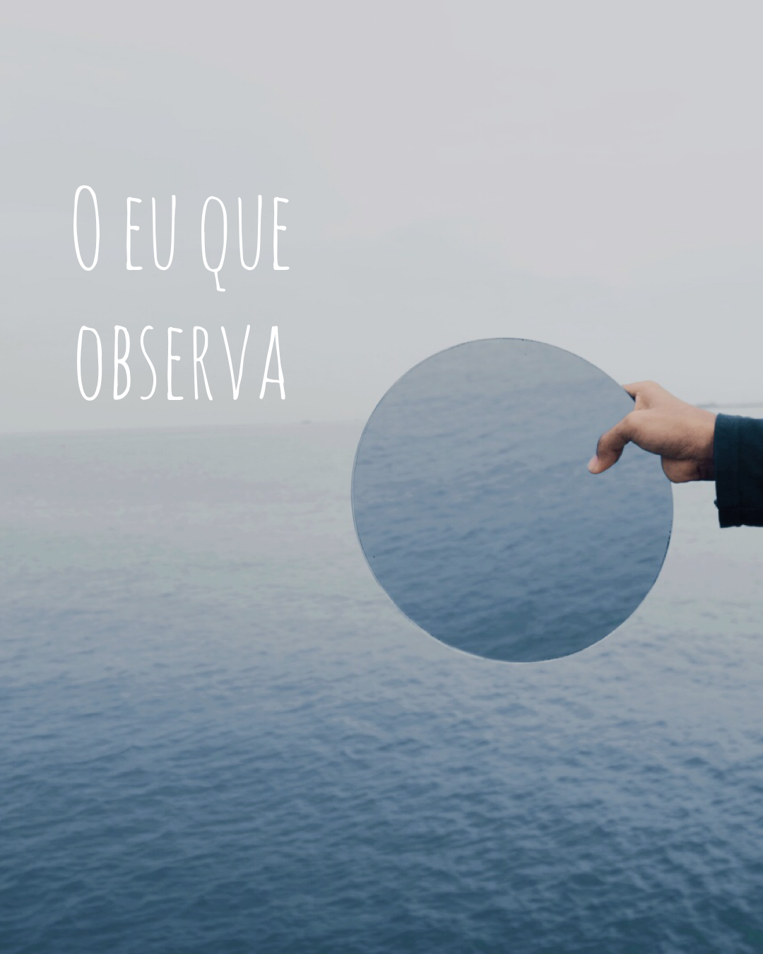 Eu observador 